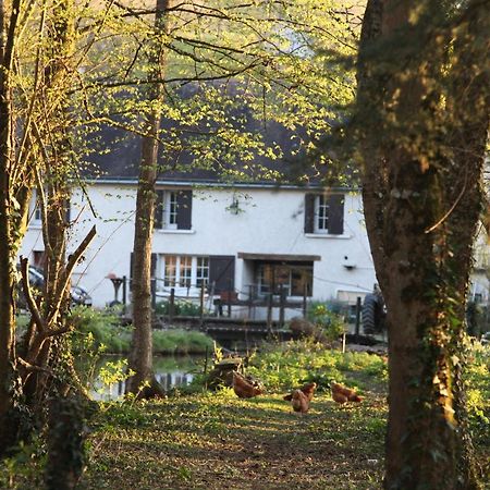 Fleurs De Brenne Gite Neuillé-le-Lierre Dış mekan fotoğraf
