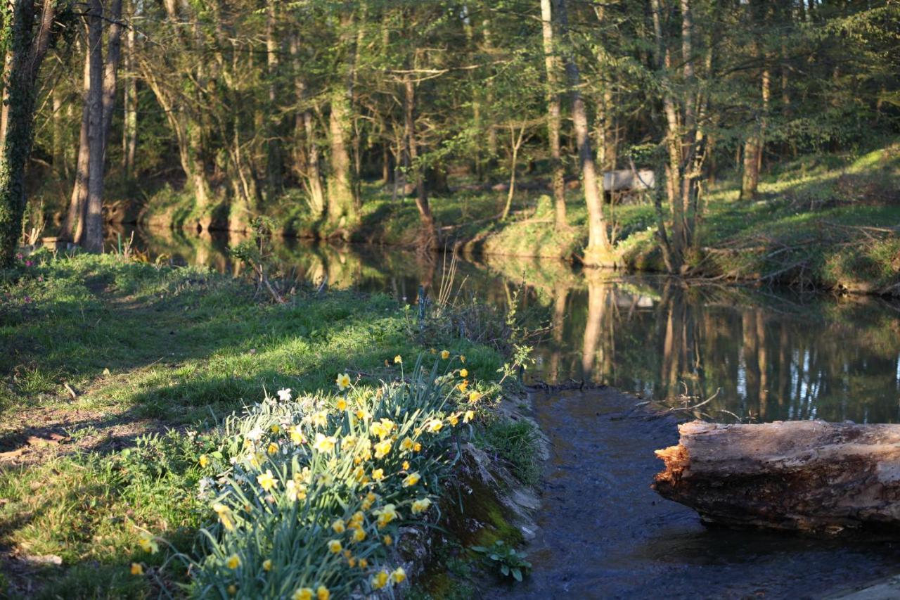 Fleurs De Brenne Gite Neuillé-le-Lierre Dış mekan fotoğraf