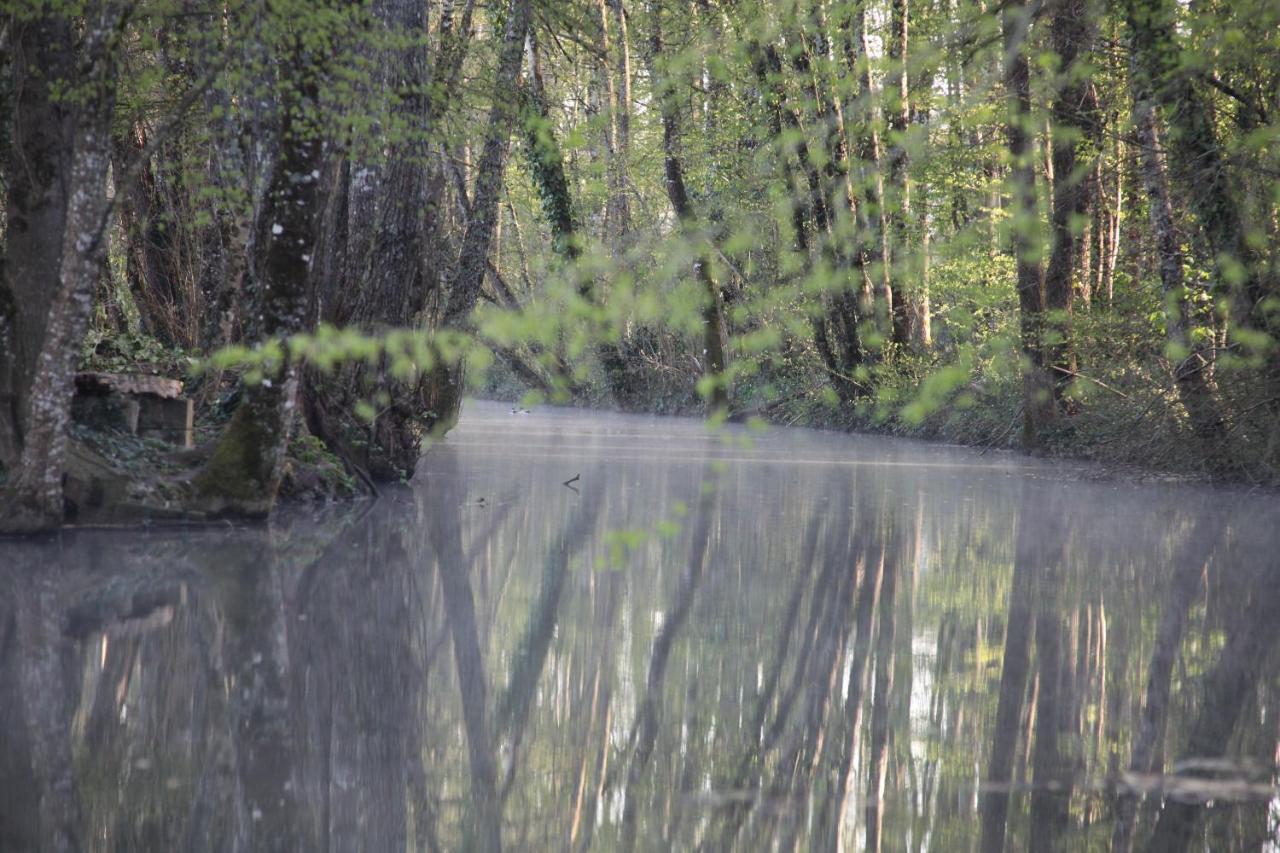 Fleurs De Brenne Gite Neuillé-le-Lierre Dış mekan fotoğraf