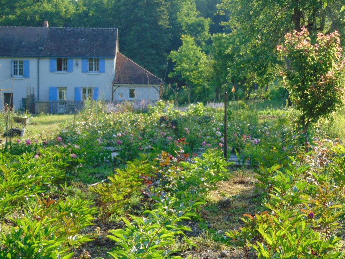 Fleurs De Brenne Gite Neuillé-le-Lierre Dış mekan fotoğraf